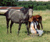 Breeze, Skeeter & Monte