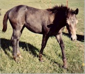 Breeze 4 1/2 months old