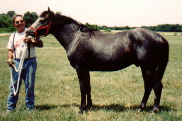 Racers Fury II & Monte@25 months