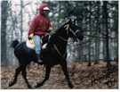 Racer & Monte Spring Challenge 2001