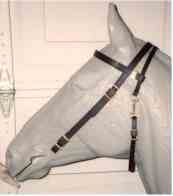 Black Beta Biothane Bridle