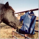 Racer & Haybag