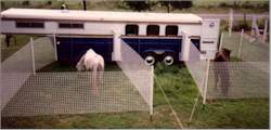 2 pens mounted on trailer