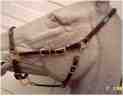 Simplicity Halter Bridle