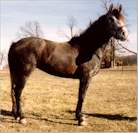 Smarty Age 3 1/2