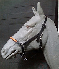 Sg Halter